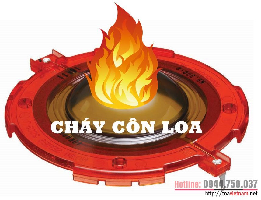 con-loa.jpg