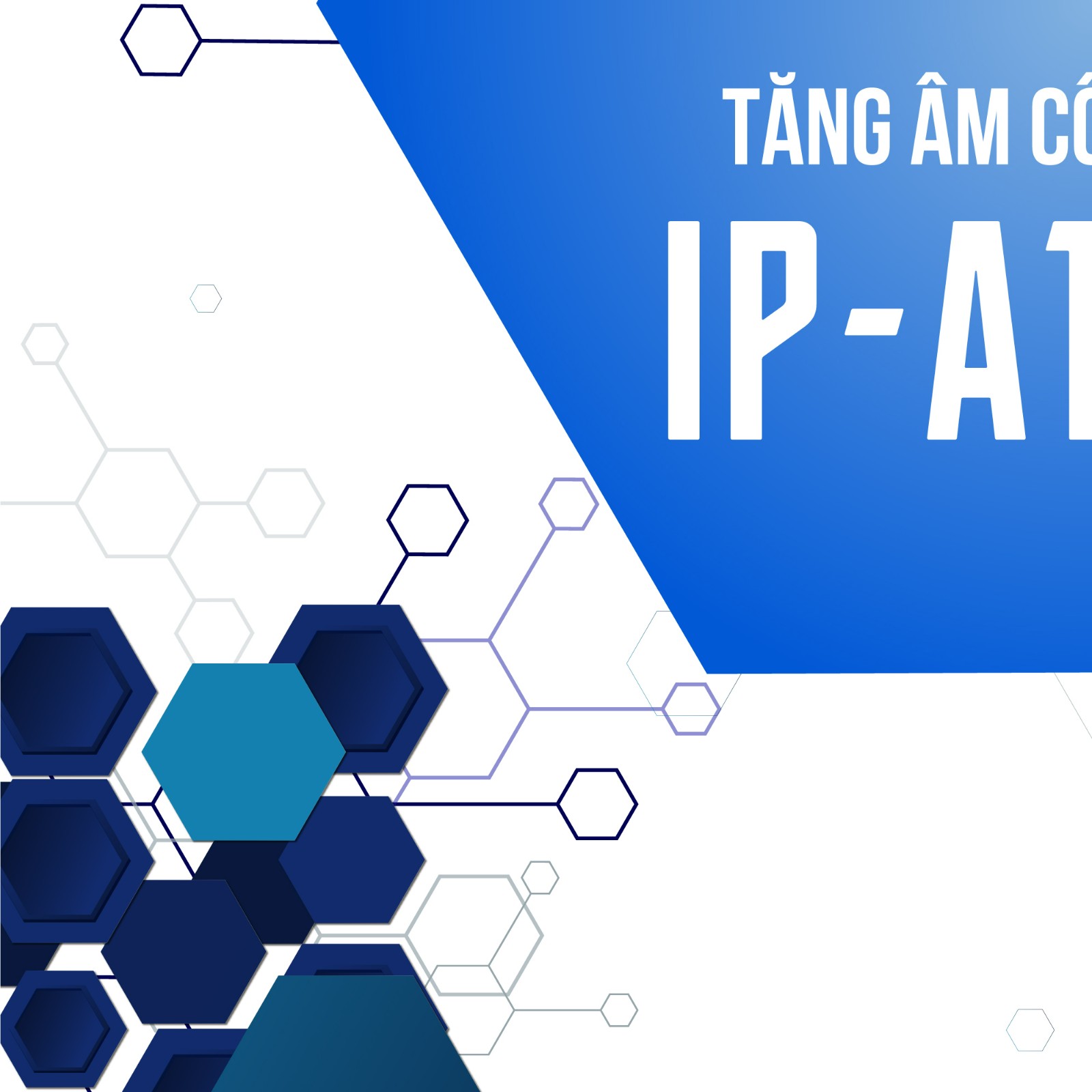 IP-A1PA12-3.jpg